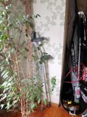 DSCF1705.JPG