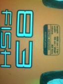 Pilt08820.jpg