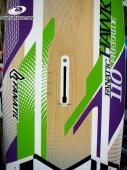 hawk110_2011de.JPG